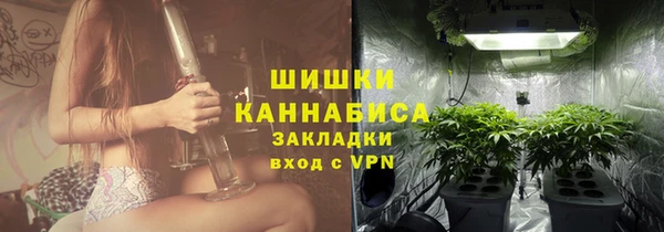 дмт Каменногорск