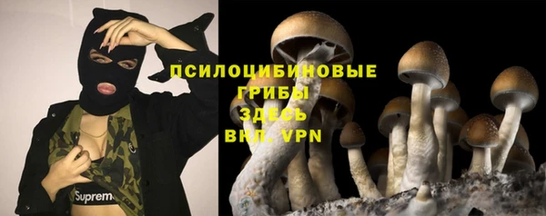 дмт Каменногорск